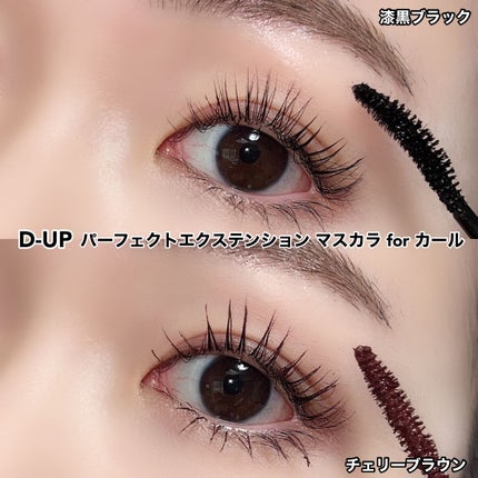 パーフェクトエクステンション マスカラ for カール/D-UP/マスカラを使ったクチコミ(5枚目)