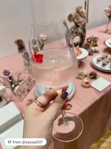 エクスプローラ12色 動物アイシャドウパレット/PERFECT DIARY/アイシャドウパレットを使ったクチコミ(8枚目)