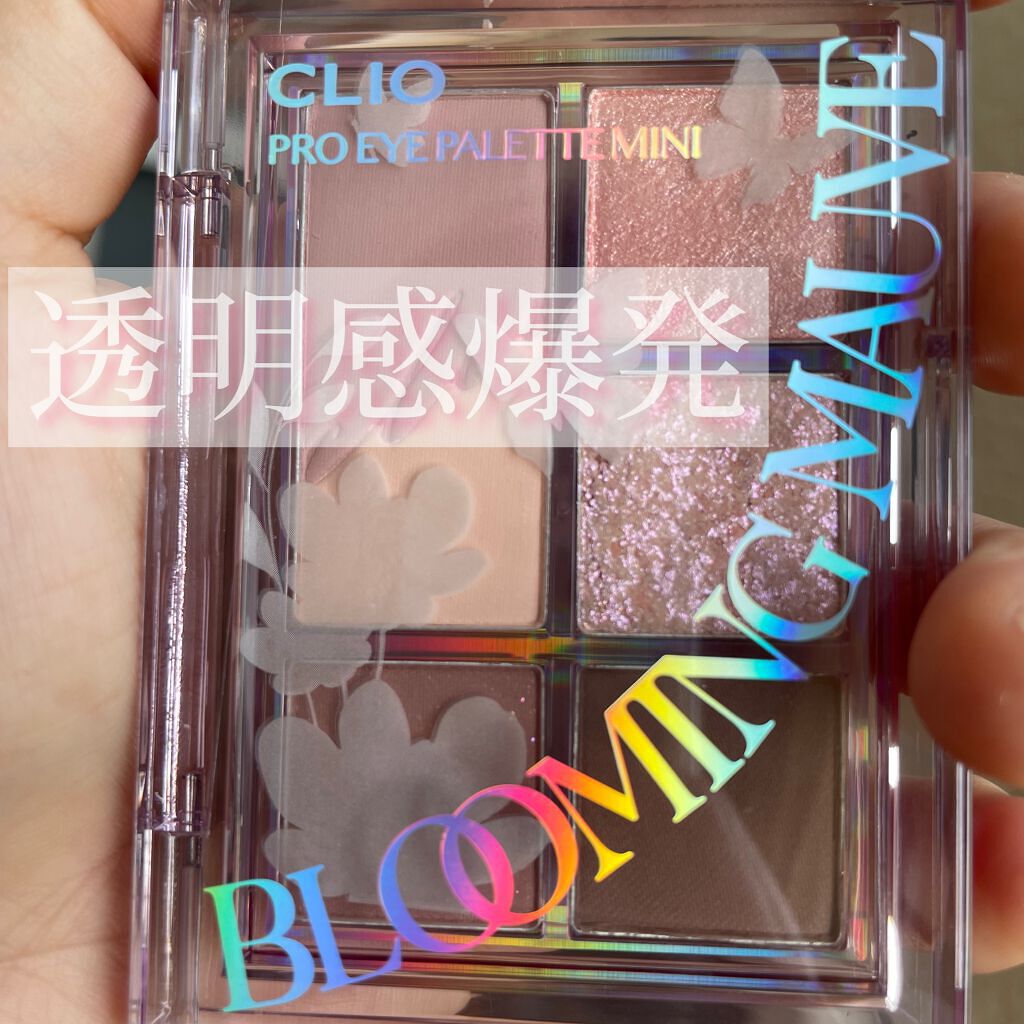 プロ アイパレット ミニ/CLIO/アイシャドウパレットを使ったクチコミ（1枚目）