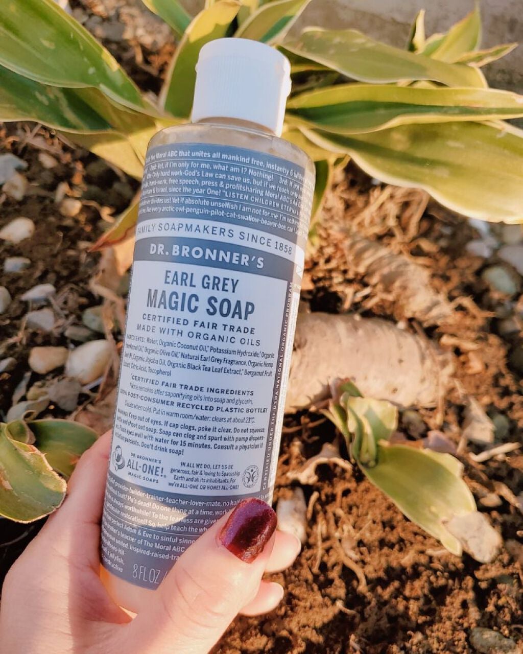 マジックソープ アールグレイ/ドクターブロナー/ボディソープを使ったクチコミ(1枚目)