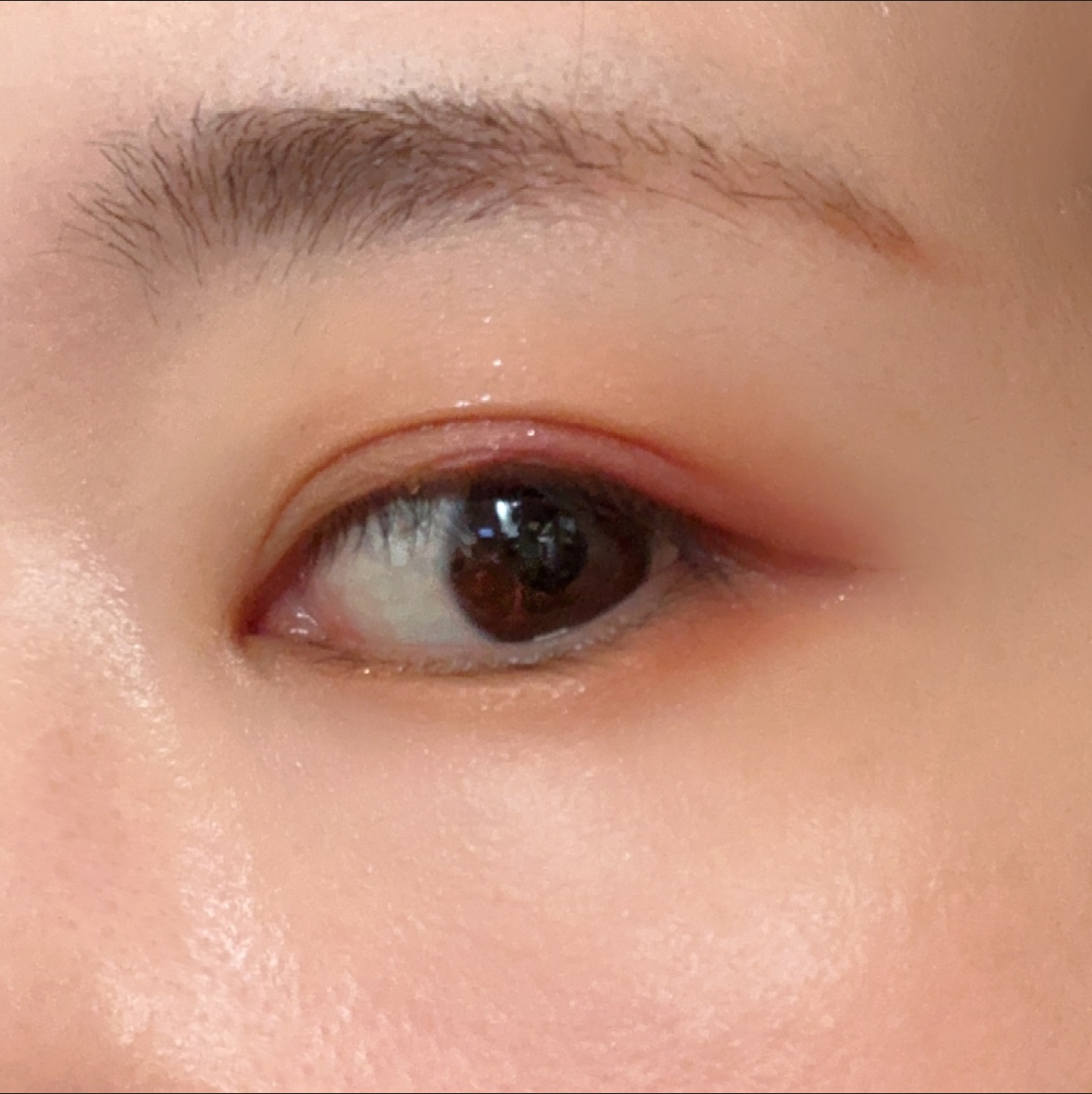 ミネラルクラッシィシャドー/エトヴォス/アイシャドウパレットを使ったクチコミ（3枚目）