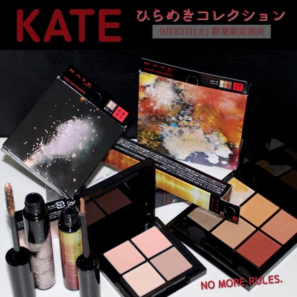 キャンバスペイントパレット/KATE/マルチパレットを使ったクチコミ(1枚目)