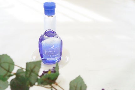 洗顔専科 パーフェクトクリアクレンズ/SENKA(専科)/クレンジングジェルを使ったクチコミ(1枚目)