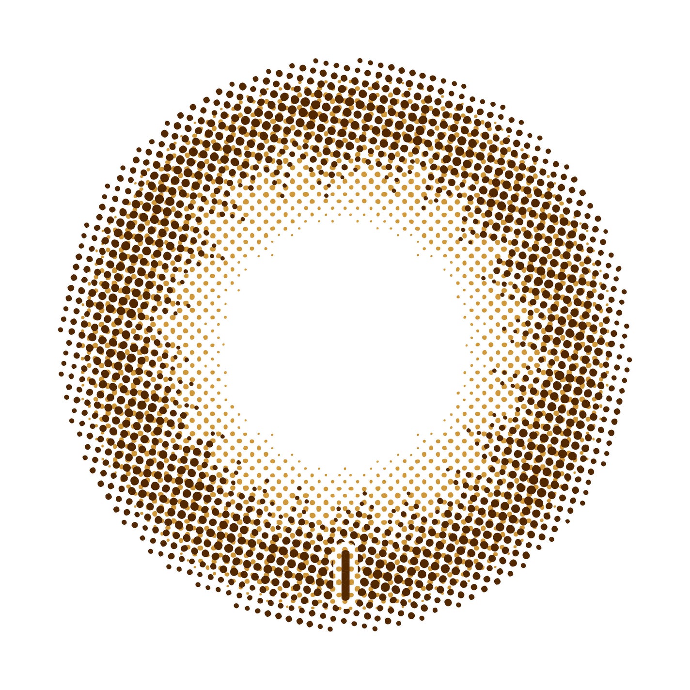 TOPARS TORIC 1day デートトパーズ