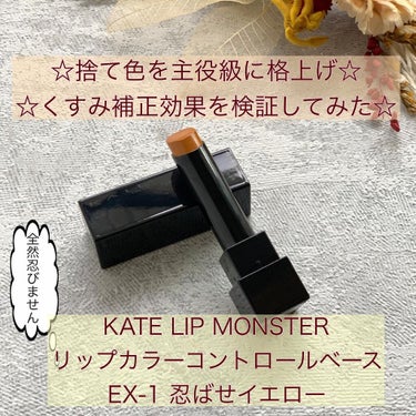 リップカラーコントロールベース /KATE/リップケア・リップクリームを使ったクチコミ（1枚目）