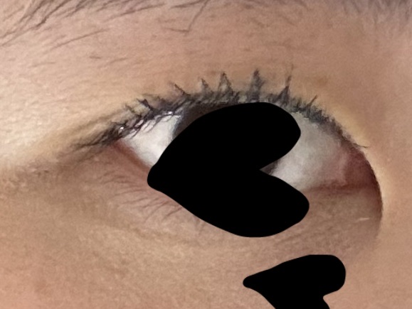 オールデイ ロング アンド カール マスカラ/Milk Touch/マスカラを使ったクチコミ（2枚目）