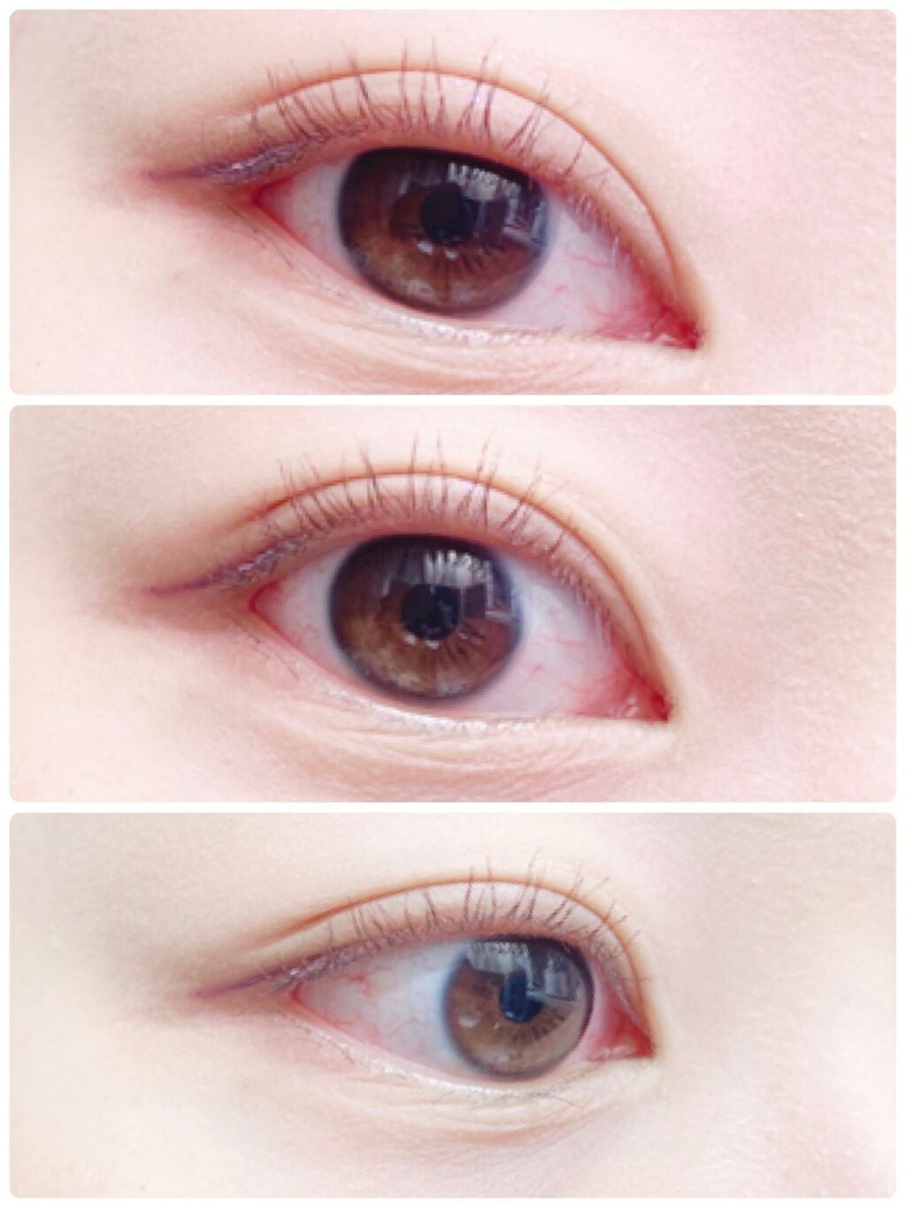 Venus Marble アイシャドウキャットシリーズ/Venus Marble/アイシャドウパレットを使ったクチコミ(3枚目)