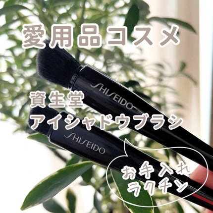 HANEN FUDE アイ シェーディング ブラシ/SHISEIDO/メイクブラシを使ったクチコミ(1枚目)