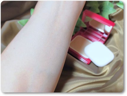 プロフィニッシュファンデーション/インテグレート/パウダーファンデーションを使ったクチコミ(1枚目)