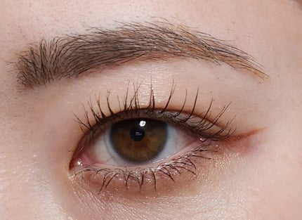 コンスピキュアス アイズ/Amplitude/アイシャドウパレットを使ったクチコミ(4枚目)