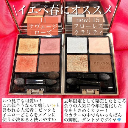 ジェミネイトアイズ N/LUNASOL/アイシャドウパレットを使ったクチコミ(2枚目)