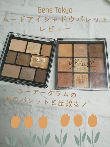 UR GLAM　BLOOMING EYE COLOR PALETTE/U R GLAM/パウダーアイシャドウを使ったクチコミ（1枚目）