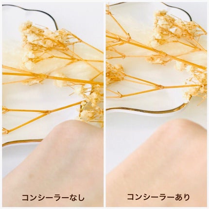 ルミシーラーモイスチャー/N&m/クリームコンシーラーを使ったクチコミ(4枚目)