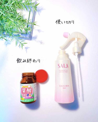 葉酸400 Ca・Feプラス/井藤漢方製薬/健康サプリメントを使ったクチコミ（1枚目）