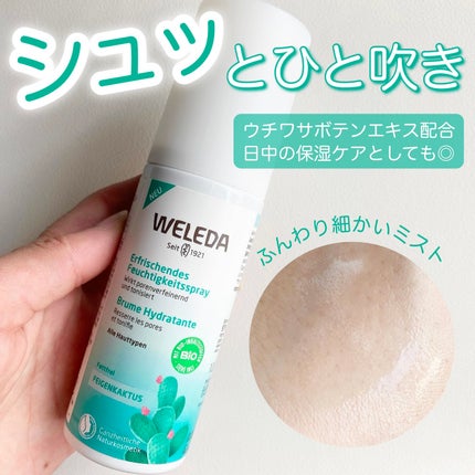 ウチワサボテン フェイシャルミスト/WELEDA/ミスト状化粧水を使ったクチコミ(1枚目)