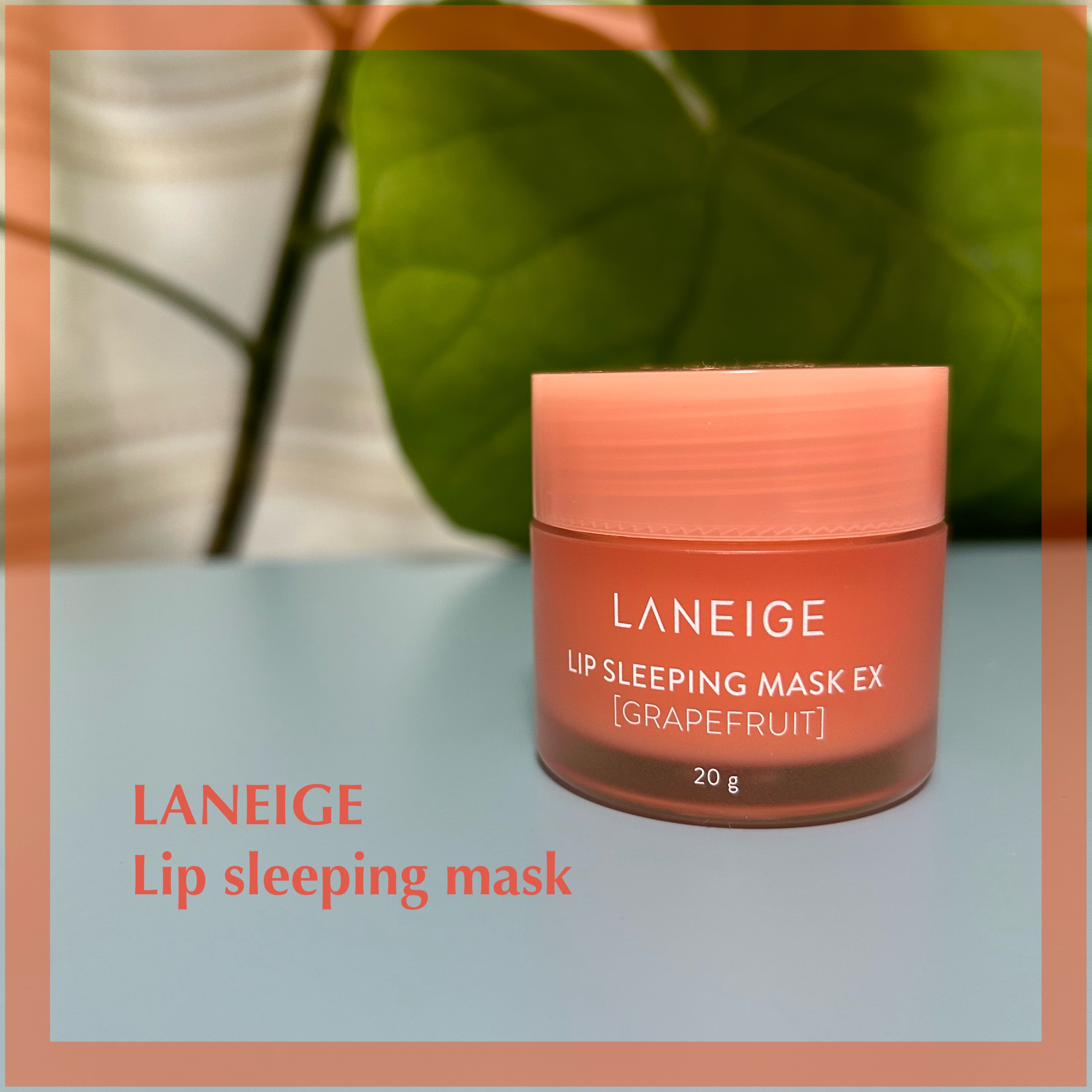 リップスリーピングマスク/LANEIGE/リップバームを使ったクチコミ（1枚目）