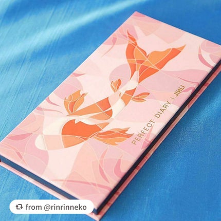 エクスプローラ12色 動物アイシャドウパレット/PERFECT DIARY/アイシャドウパレットを使ったクチコミ(2枚目)