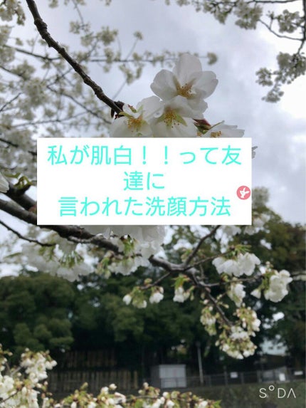 ハトムギ化粧水(ナチュリエ スキンコンディショナー R )/ナチュリエ/化粧水を使ったクチコミ(1枚目)