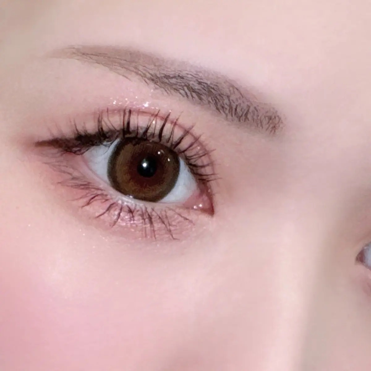 feliamo 1day/feliamo/ワンデー（１DAY）カラコンを使ったクチコミ（3枚目）