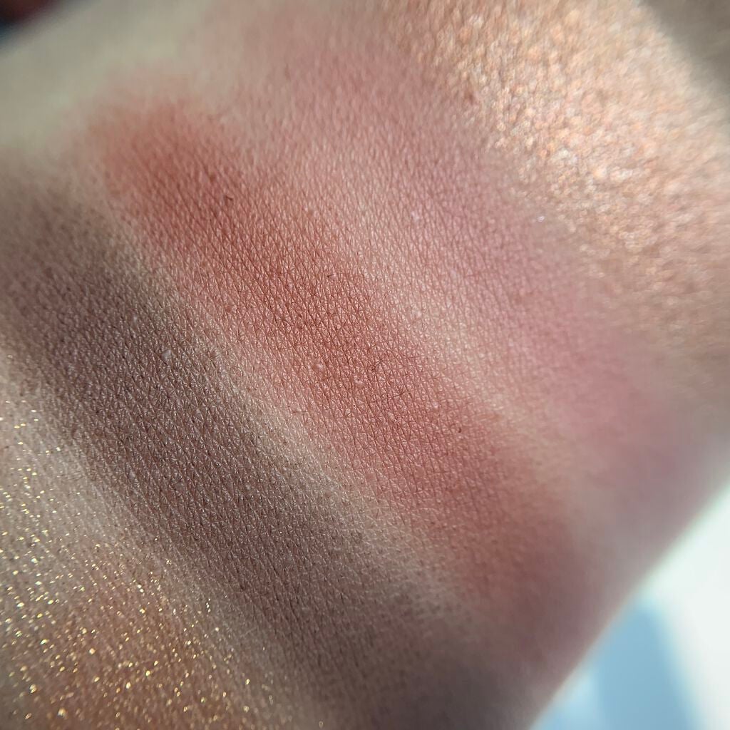 エクスプローラ12色 動物アイシャドウパレット/PERFECT DIARY/アイシャドウパレットを使ったクチコミ(6枚目)