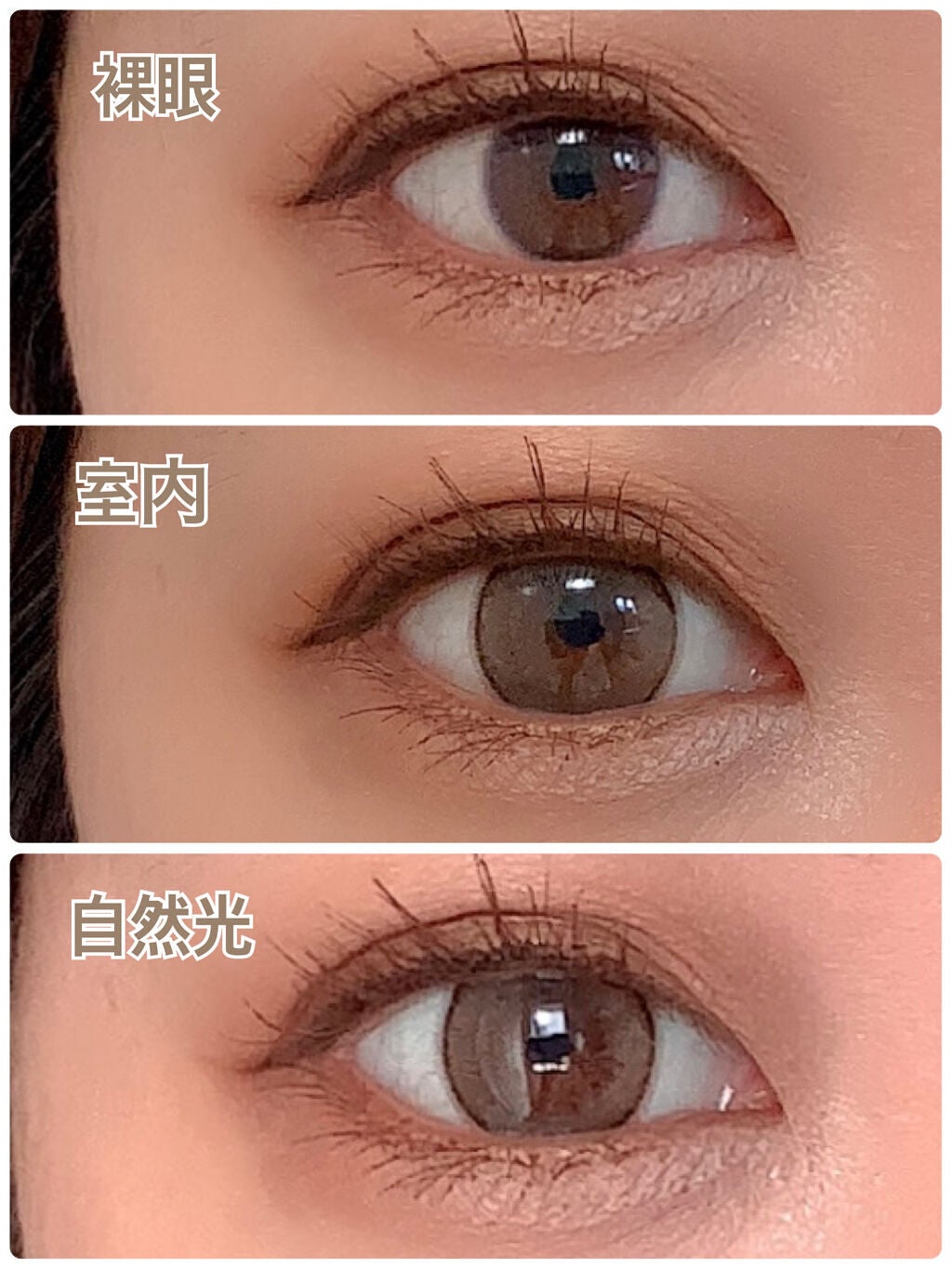 エバーカラーワンデー ナチュラル/エバーカラー/ワンデー(1DAY)カラコンを使ったクチコミ(4枚目)