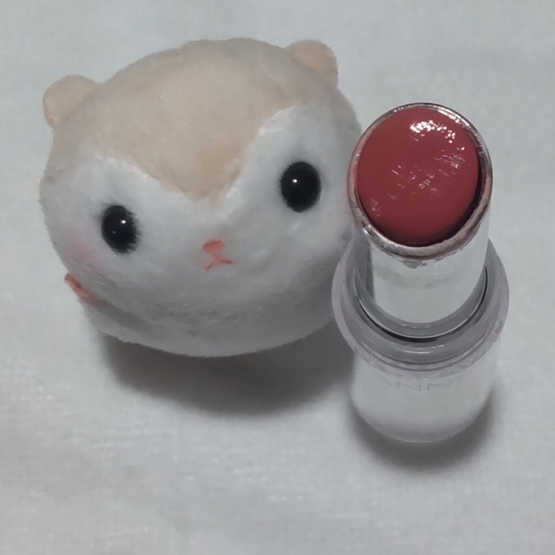 ラスティンググロスリップ/CEZANNE/口紅を使ったクチコミ（2枚目）