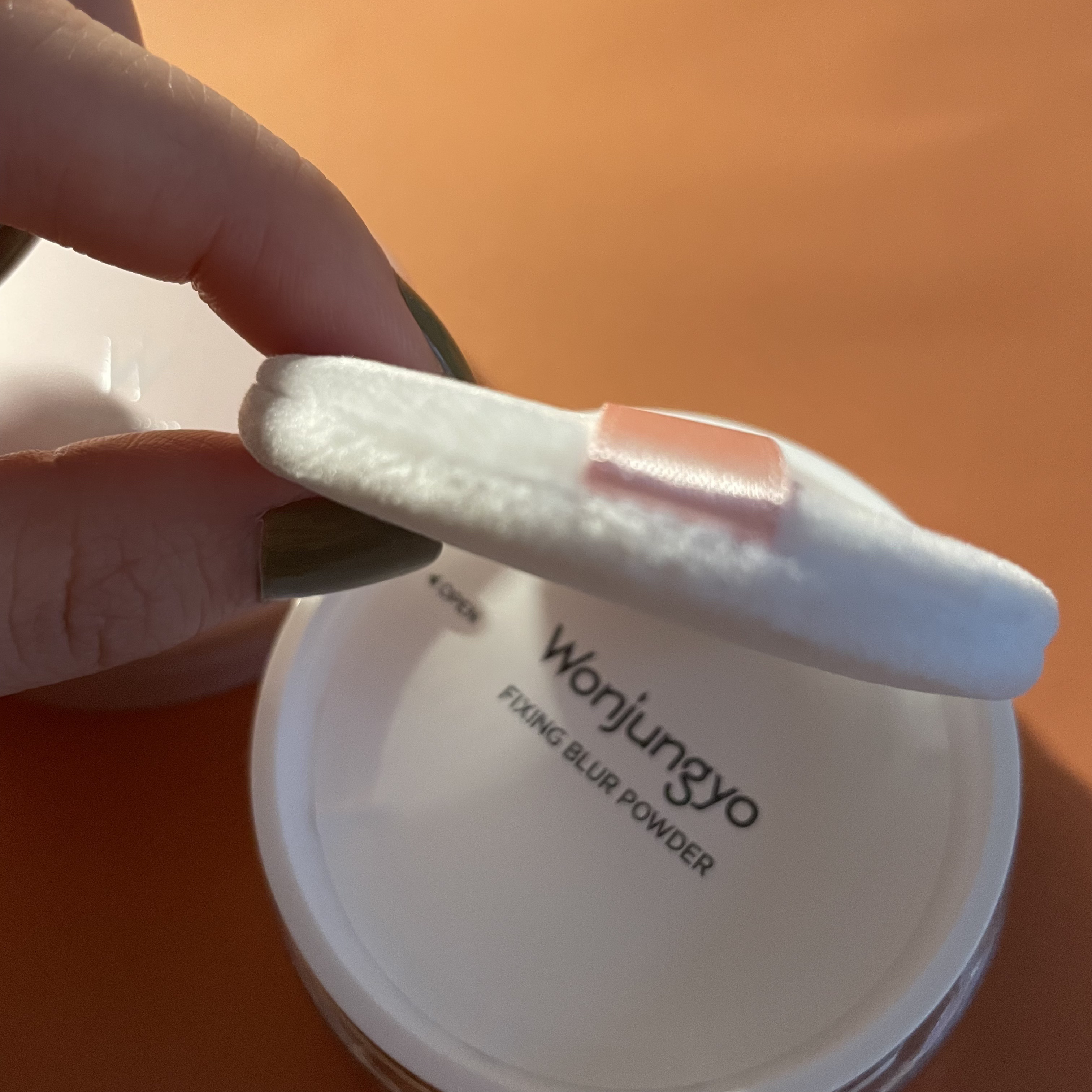 ウォンジョンヨ フィクシングブラーパウダー N/Wonjungyo/ルースパウダーを使ったクチコミ（3枚目）