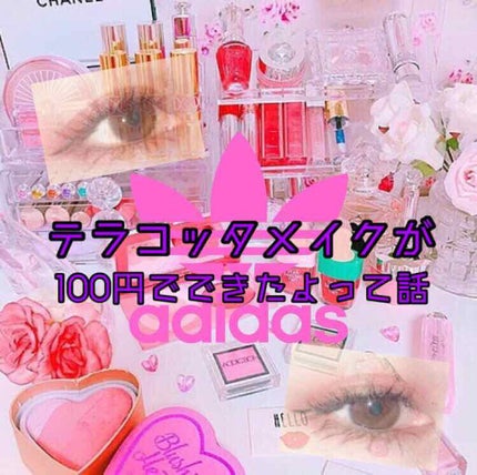 WHY NOT SPINNS 3色アイシャドウ/DAISO/アイシャドウパレットを使ったクチコミ(1枚目)