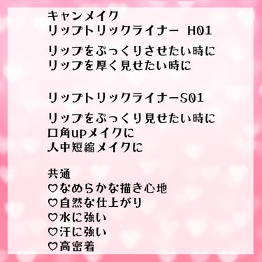 リップトリックライナー S01 あざとグレー/キャンメイク/リップライナーを使ったクチコミ（2枚目）