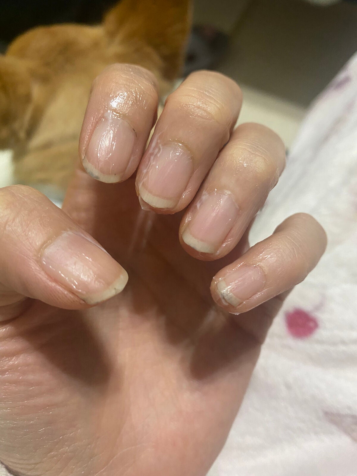 ゆびさき&ネイルケアパック/DAISO/ネイル用品を使ったクチコミ(7枚目)