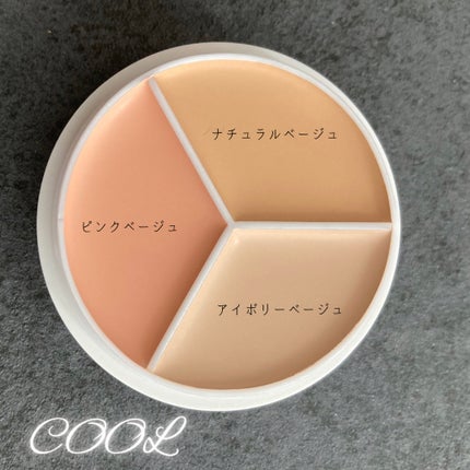 カバーアッププロコンシーラー/TFIT/パレットコンシーラーを使ったクチコミ(3枚目)