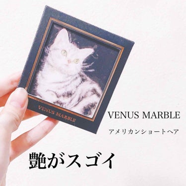 Venus Marble アイシャドウキャットシリーズ/Venus Marble/パウダーアイシャドウを使ったクチコミ（1枚目）