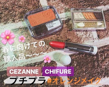 トーンアップアイシャドウ/CEZANNE/アイシャドウパレットを使ったクチコミ（1枚目）