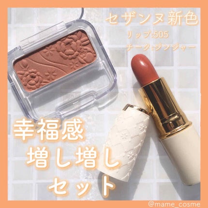 ラスティング リップカラーN/CEZANNE/口紅を使ったクチコミ(1枚目)