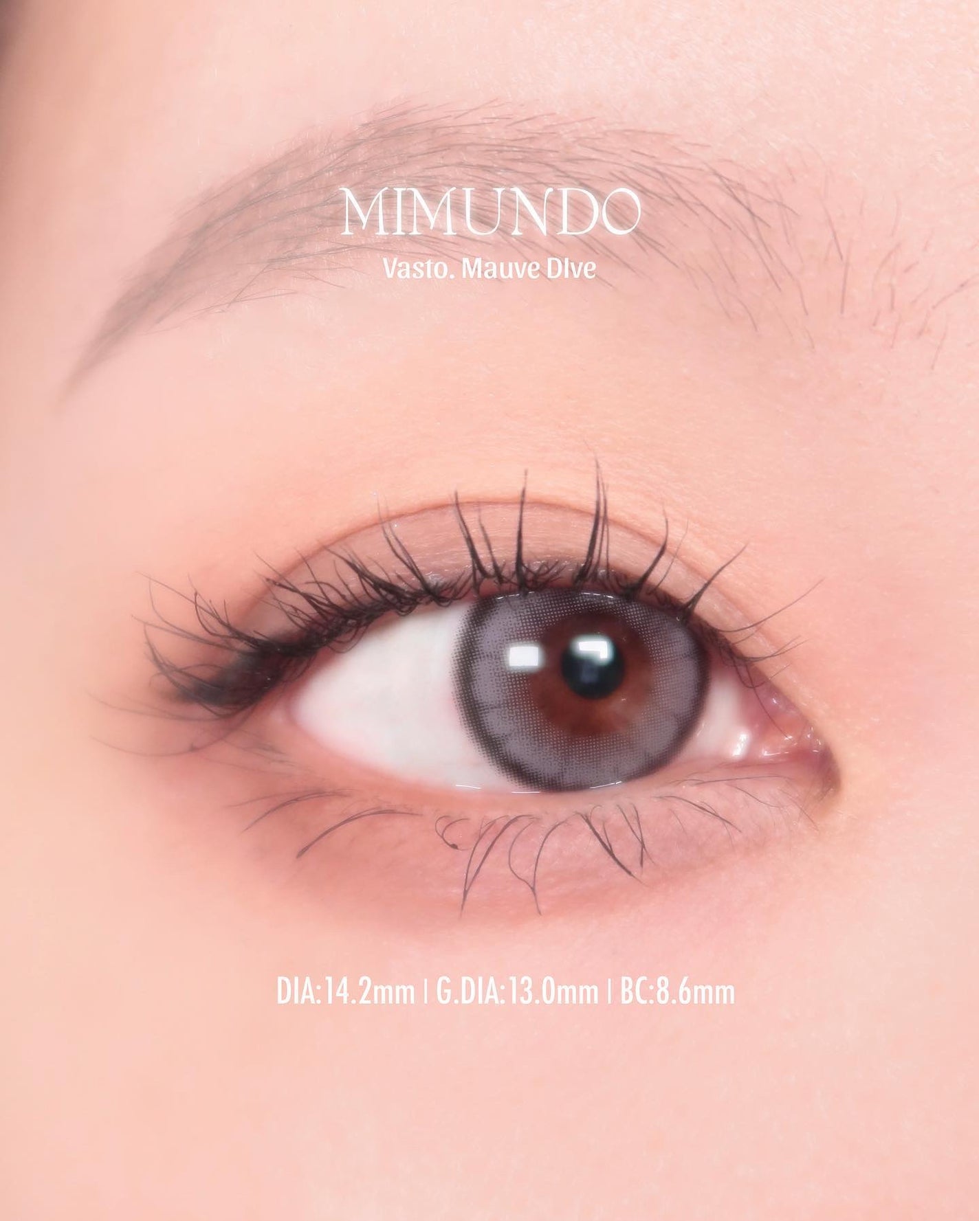 にゃん汰 on LIPS 「✽𝗠𝗜𝗠𝗨𝗡𝗗𝗢@mimundo.official𝗩𝗮𝘀𝘁𝗼..」(4枚目)