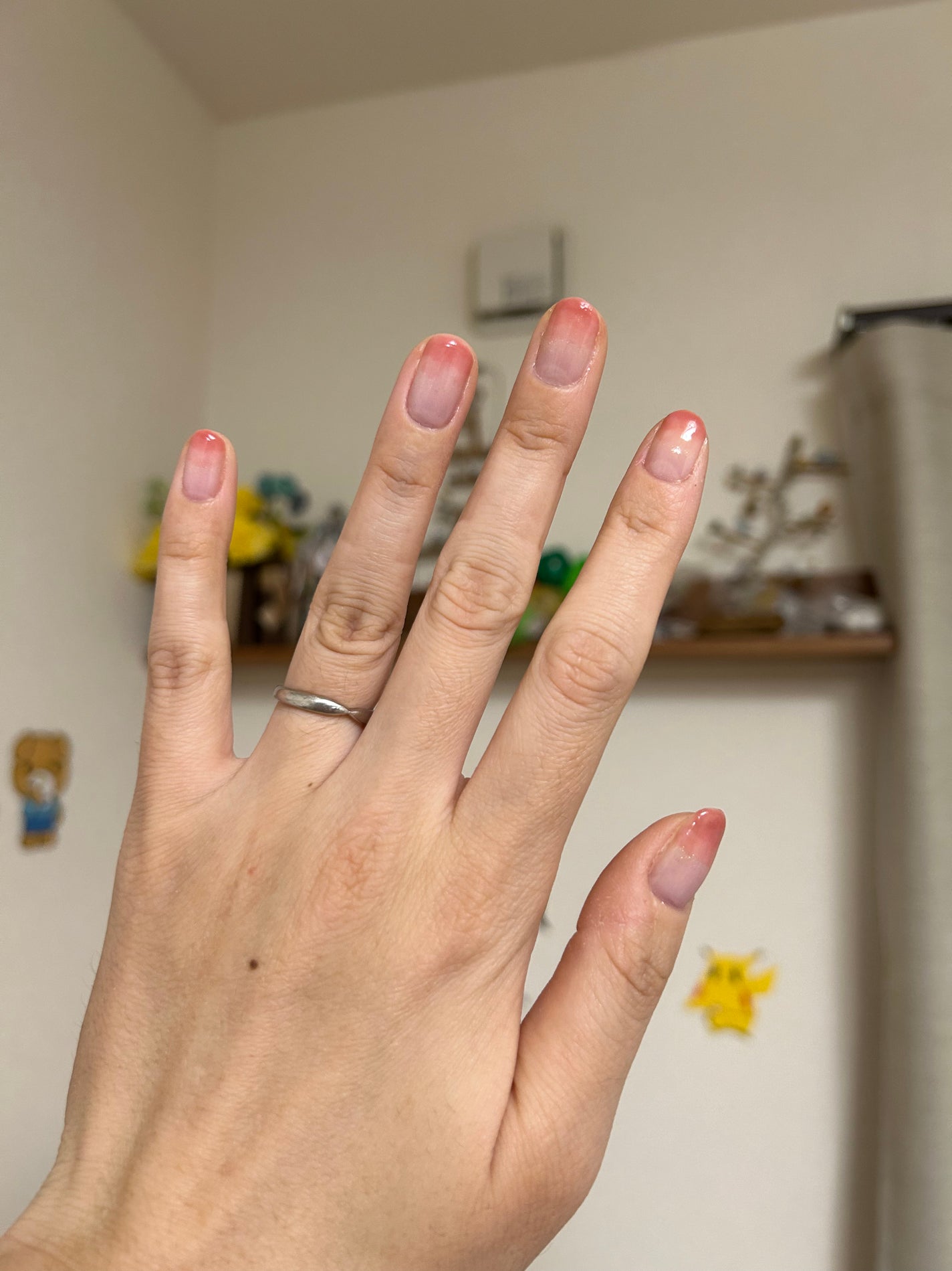 カラフルネイルズ/キャンメイク/マニキュアを使ったクチコミ(1枚目)