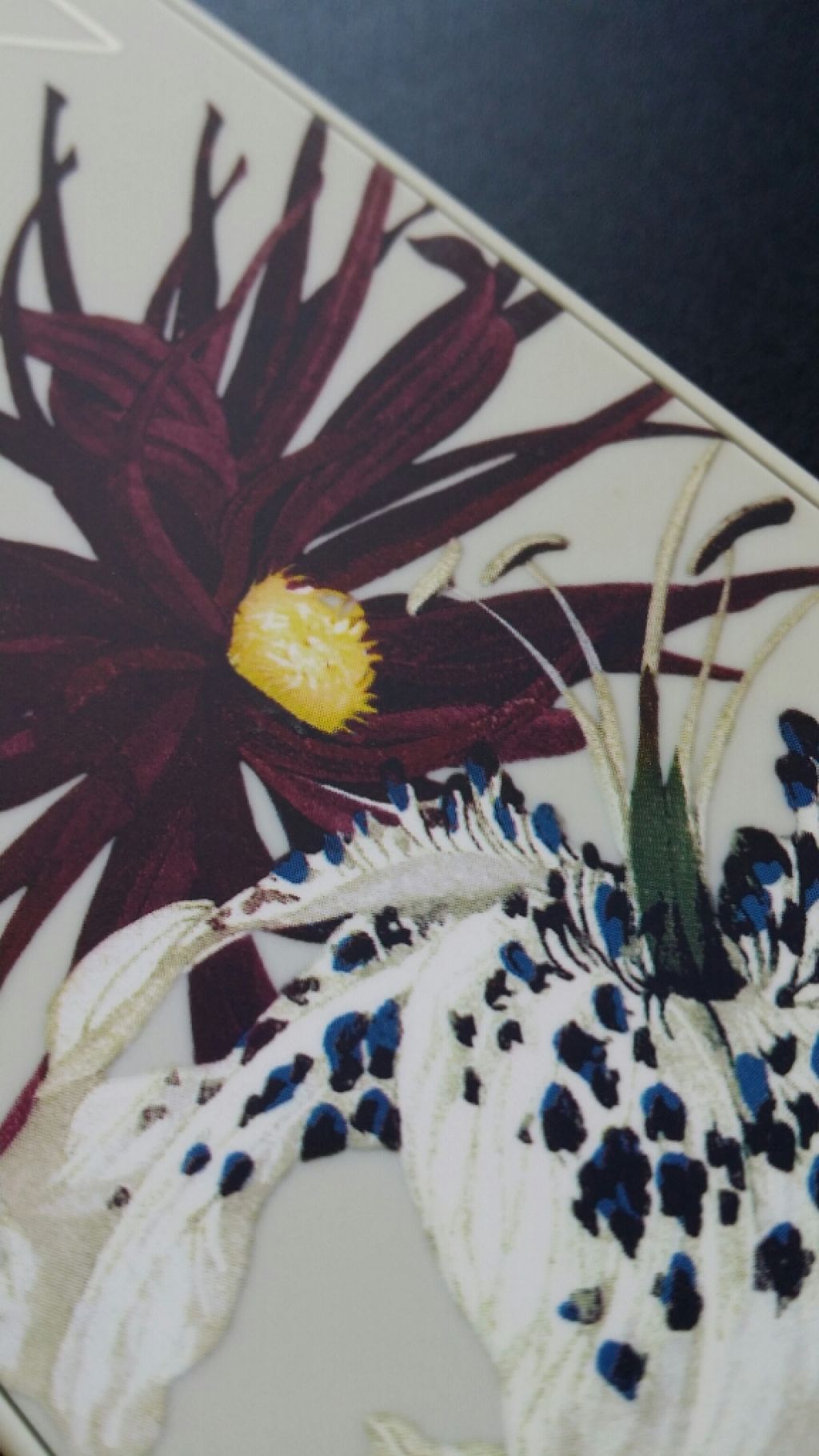 ポイズンローズ リップパウダーパレット/NARS/口紅を使ったクチコミ（1枚目）