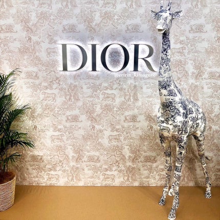 その他/Dior/その他を使ったクチコミ(9枚目)
