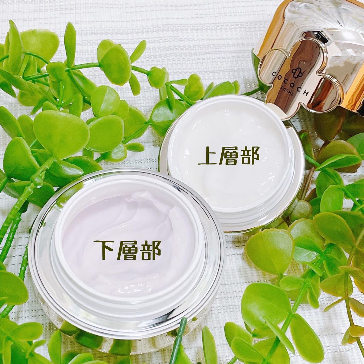 AG アルティメット フェイシャルクリームマスク/AGアルティメット/フェイスクリームを使ったクチコミ(3枚目)