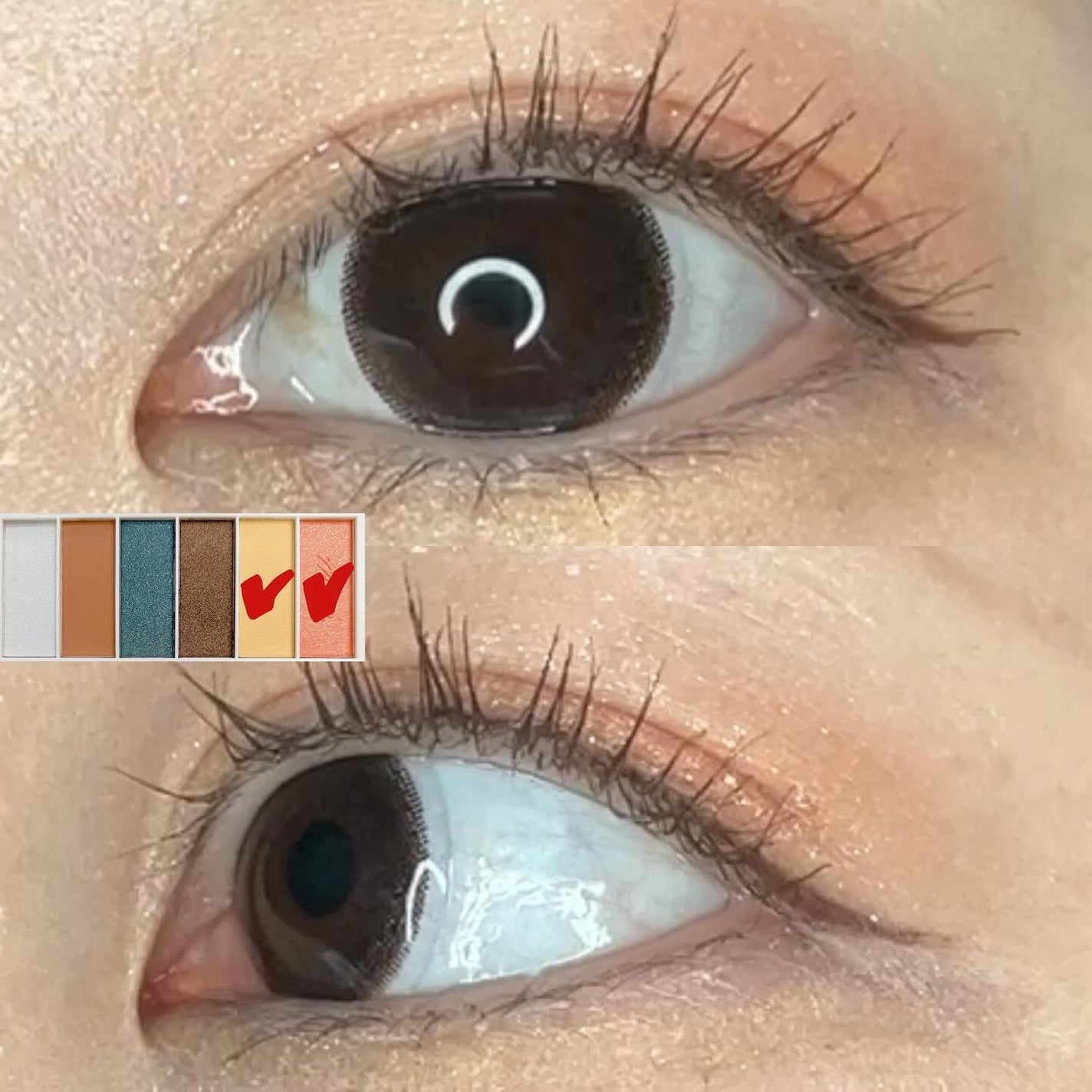 miia 6色アイシャドウ/DAISO/アイシャドウパレットを使ったクチコミ(6枚目)