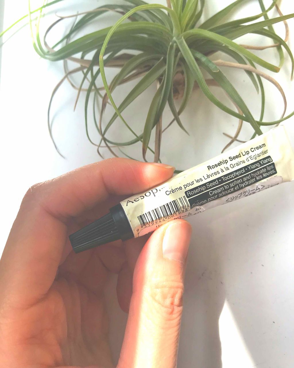 リップクリーム 40/Aesop/リップケアを使ったクチコミ(1枚目)