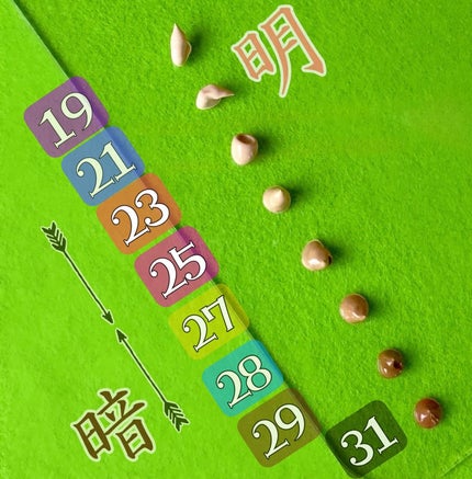 モリンガ セラミド BBクリーム/heimish/BBクリームを使ったクチコミ(5枚目)