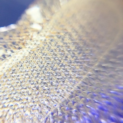 クオニス ダーマフィラープレミア/Quanis/シートマスク・パックを使ったクチコミ(6枚目)