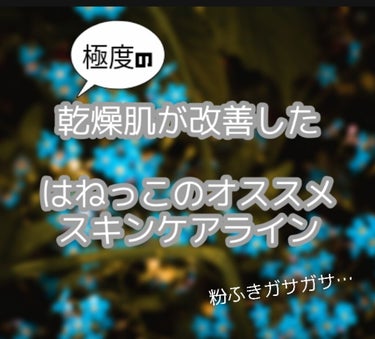 今回は極度の乾燥肌に悩まされていたはねっこの、オススメスキンケアラインを紹介しようと思うよ！！

オルビス アクアフォースローションとモイスチャーの M(しっとりタイプ)

これ本当に良すぎて乾燥肌が治