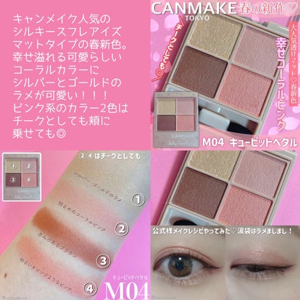 エテュセ アイエディション(カラーパレット)/ettusais/アイシャドウパレットを使ったクチコミ(5枚目)