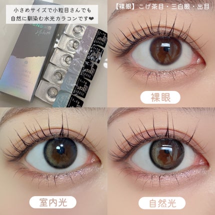 シルキースフレアイズ/キャンメイク/アイシャドウパレットを使ったクチコミ(4枚目)