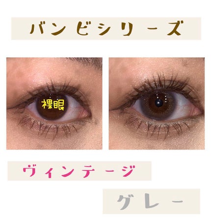 Angelcolor Bambi Series Vintage 1day/AngelColor/ワンデー(1DAY)カラコンを使ったクチコミ(4枚目)