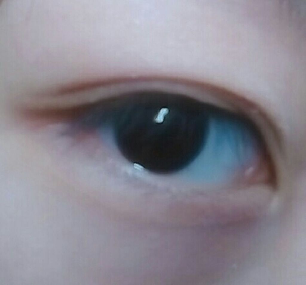 カービングアイラッシュカーラー/コージー/ビューラーを使ったクチコミ（3枚目）