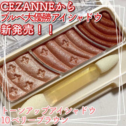 トーンアップアイシャドウ/CEZANNE/アイシャドウパレットを使ったクチコミ(1枚目)