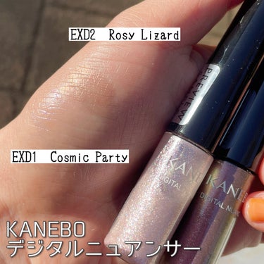 カネボウ アイカラーデュオ EX7 Pink Splash/KANEBO/アイシャドウパレットを使ったクチコミ（2枚目）